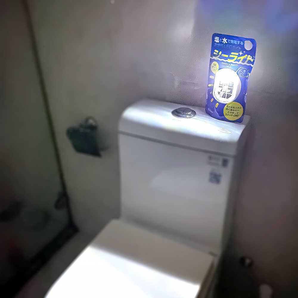 swl-z5_toilet